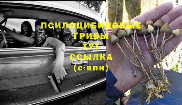 соль ск Балахна