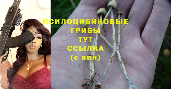 соль ск Балахна