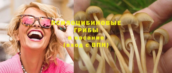 соль ск Балахна