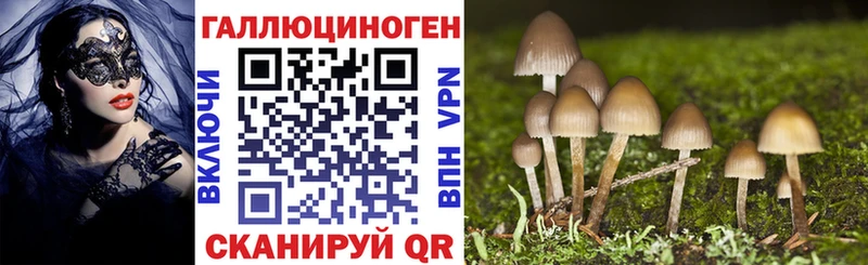 mega   Великие Луки  Галлюциногенные грибы Psilocybine cubensis 